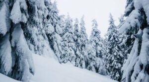 Nevşehir ve Kayseri’de Kar Tatili: Okullar Yarın Tatil Edildi