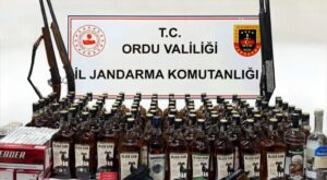 Ordu’da Jandarmadan Huzur Operasyonu: Bir Haftada 29 Aranan Şahıs Yakalandı