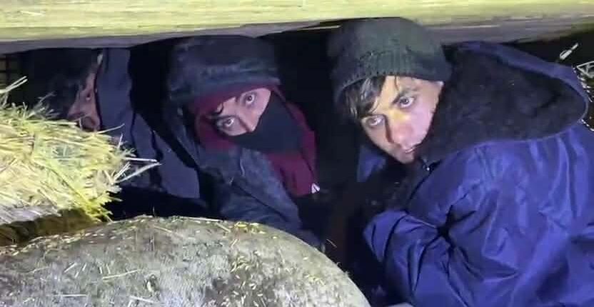 Kars’ta Saman Yüklü Kamyonette Göçmen Kaçakçılığı: 1 Tutuklama