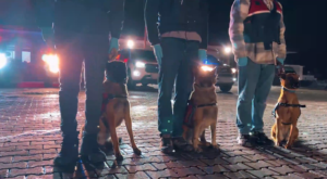 İstanbul Merkezli Suç Örgütlerine Dev Operasyon: 17 Gözaltı