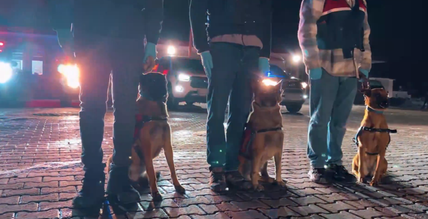 İstanbul Merkezli 20 İlde Dev Dolandırıcılık Operasyonu: 73 Gözaltı, 50 Milyon TL’lik Vurgun