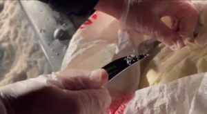 25 İlde Uyuşturucu Operasyonu: 255 Gözaltı, 99 Tutuklama