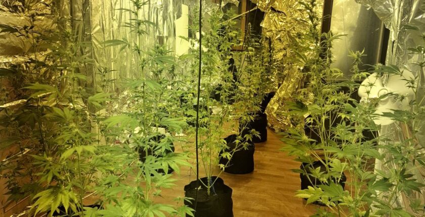 Aranan Hükümlüye Narkotik Operasyonu: Uyuşturucu İmalathanesi Ortaya Çıkarıldı