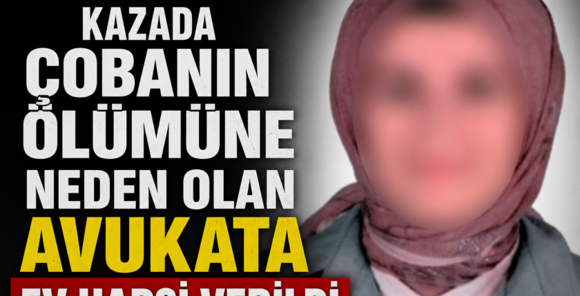 Kazada çobanın ölümüne neden olan avukata ev hapsi verildi